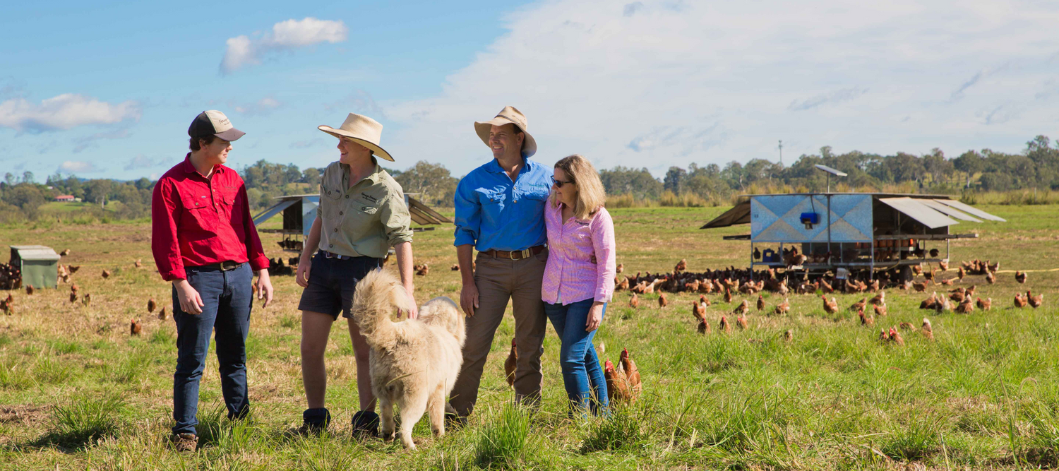 Forage Farms Family in the paddock