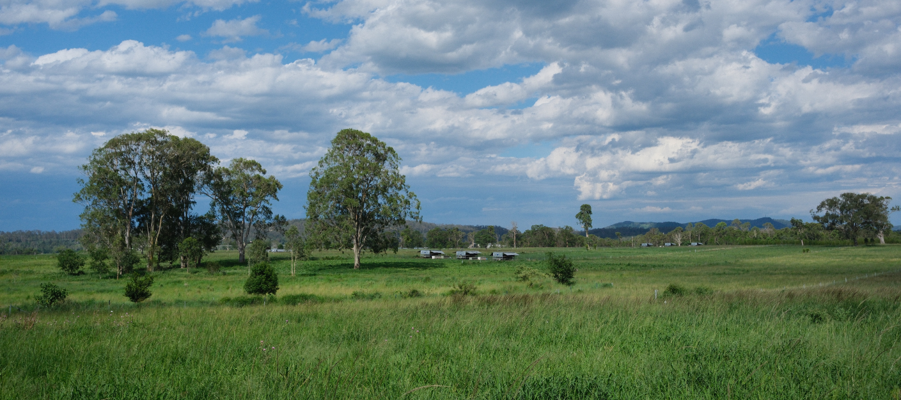 Spring 2025 Update from the Farm