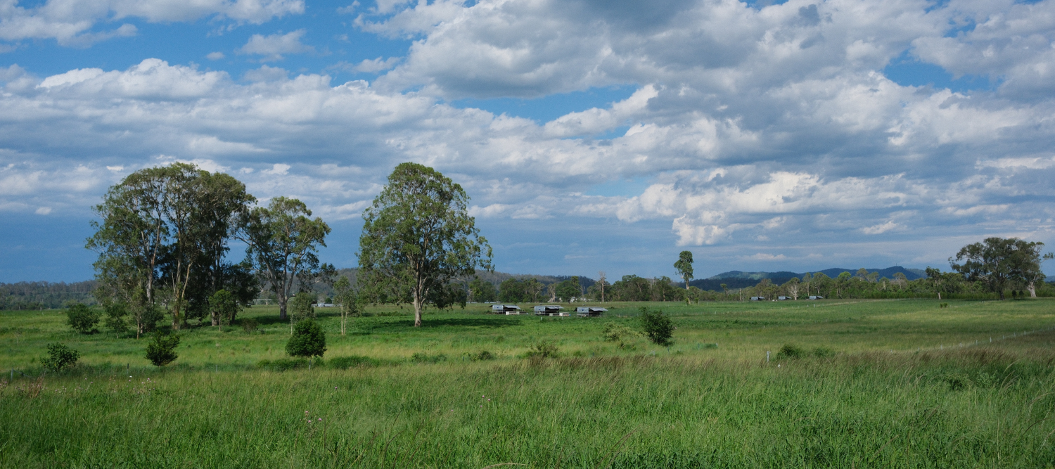The long game: what a decade of regenerative farming gave us