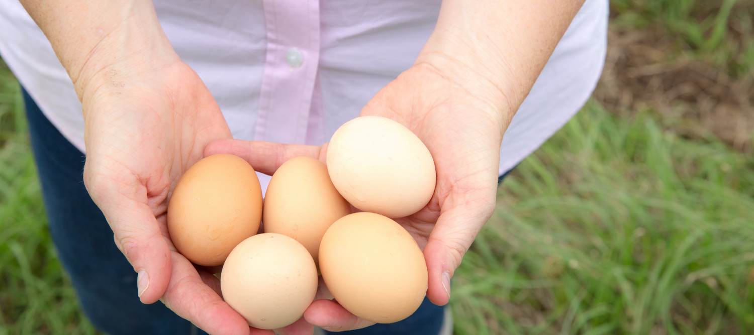 10 Healthy facts about eggs