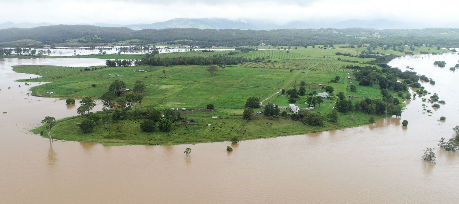 Flood Resilience at Forage Farms