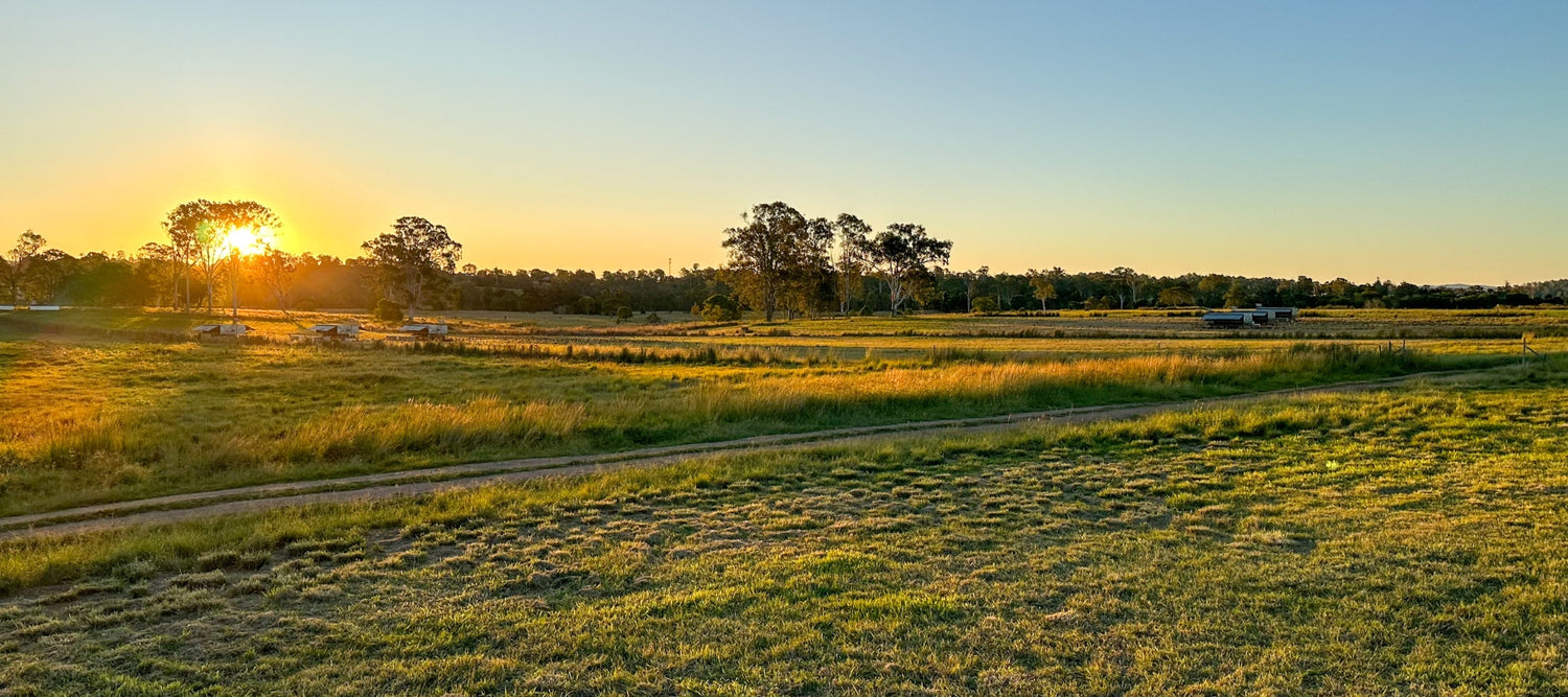 Autumn at Forage Farms