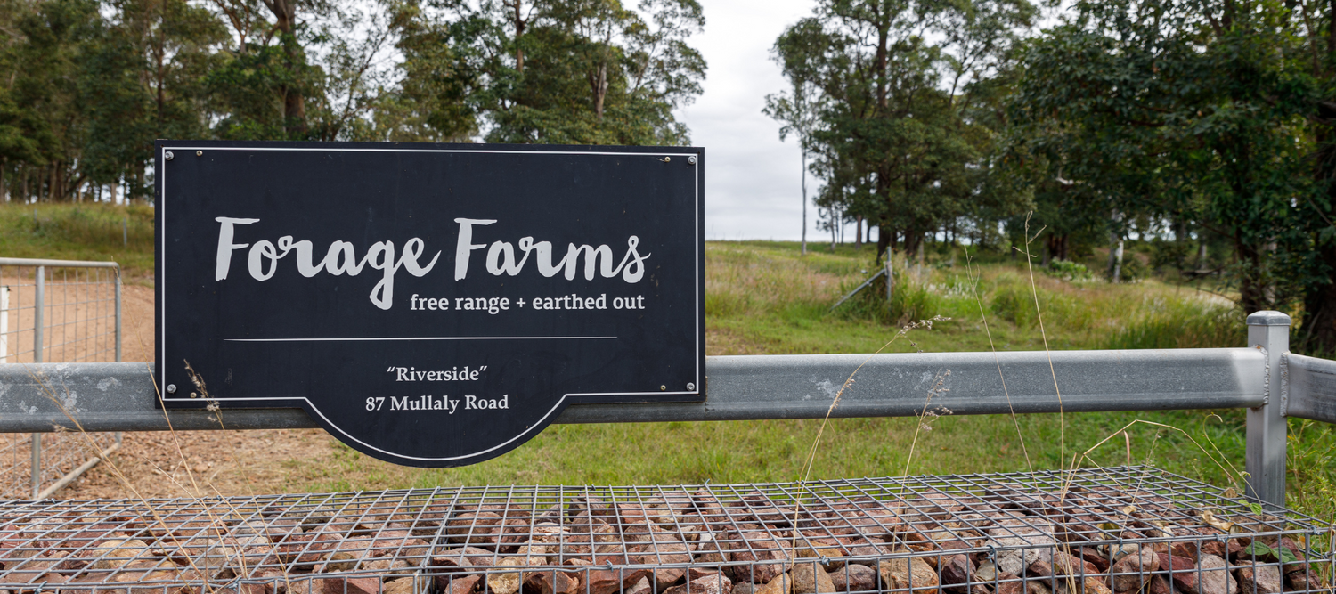Behind the scenes at Forage Farms