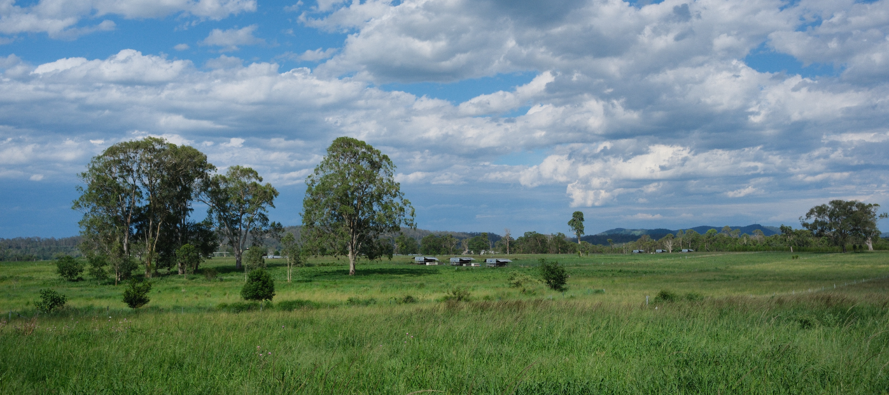 The long game: what a decade of regenerative farming gave us
