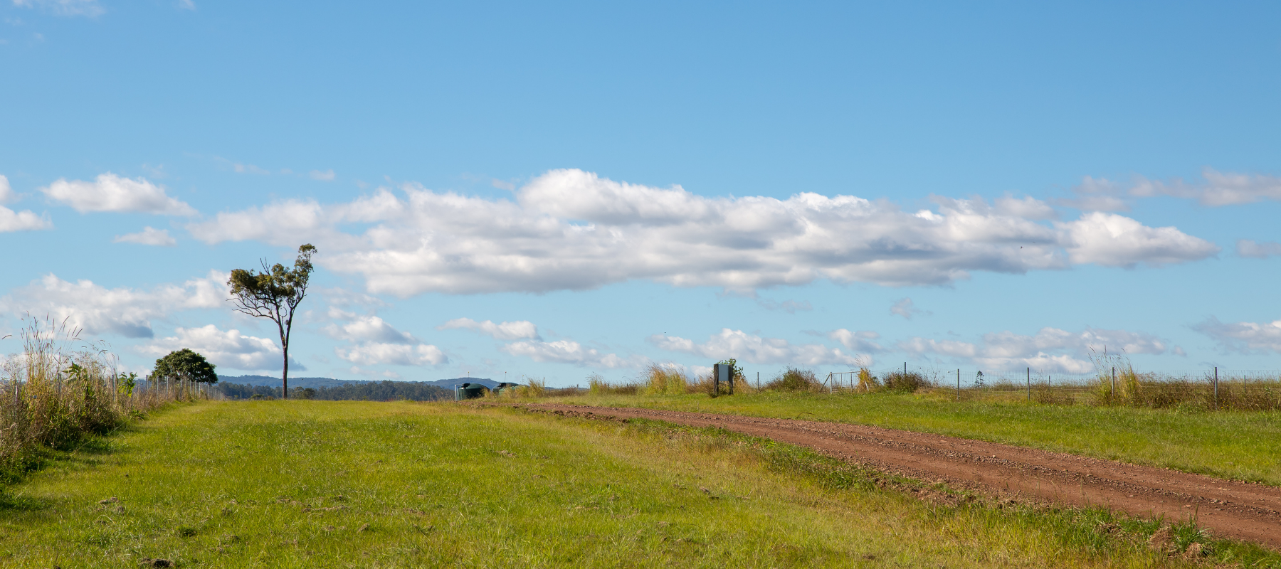 Forage Farms Paddock