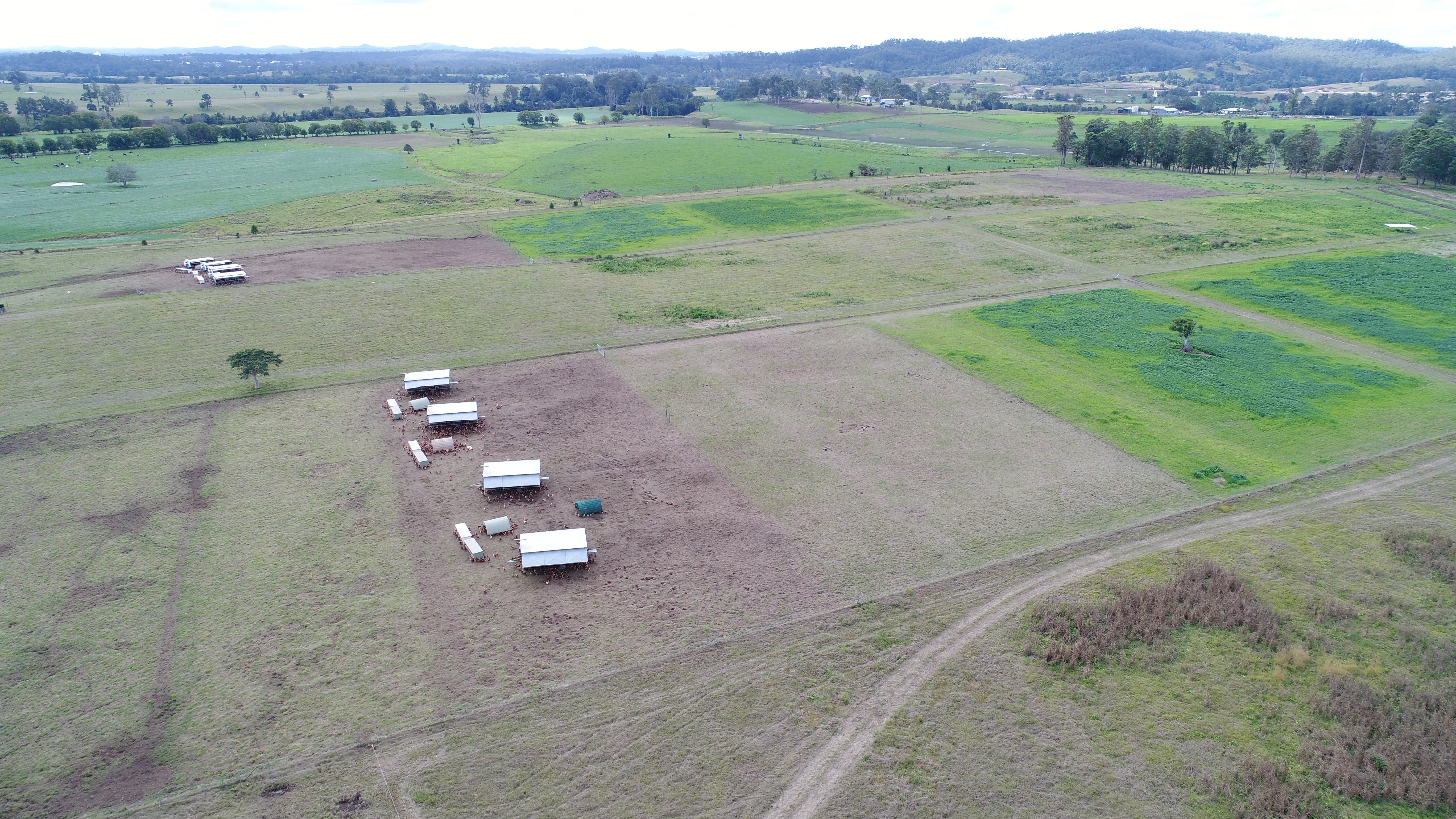 Farm Tour