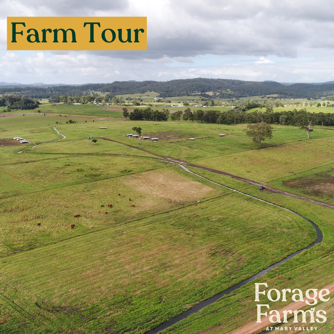 Farm Tour - 26th May 2024