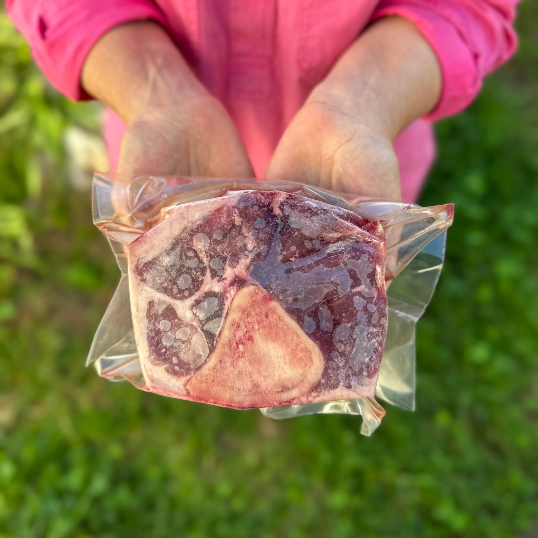 Beef Osso Bucco